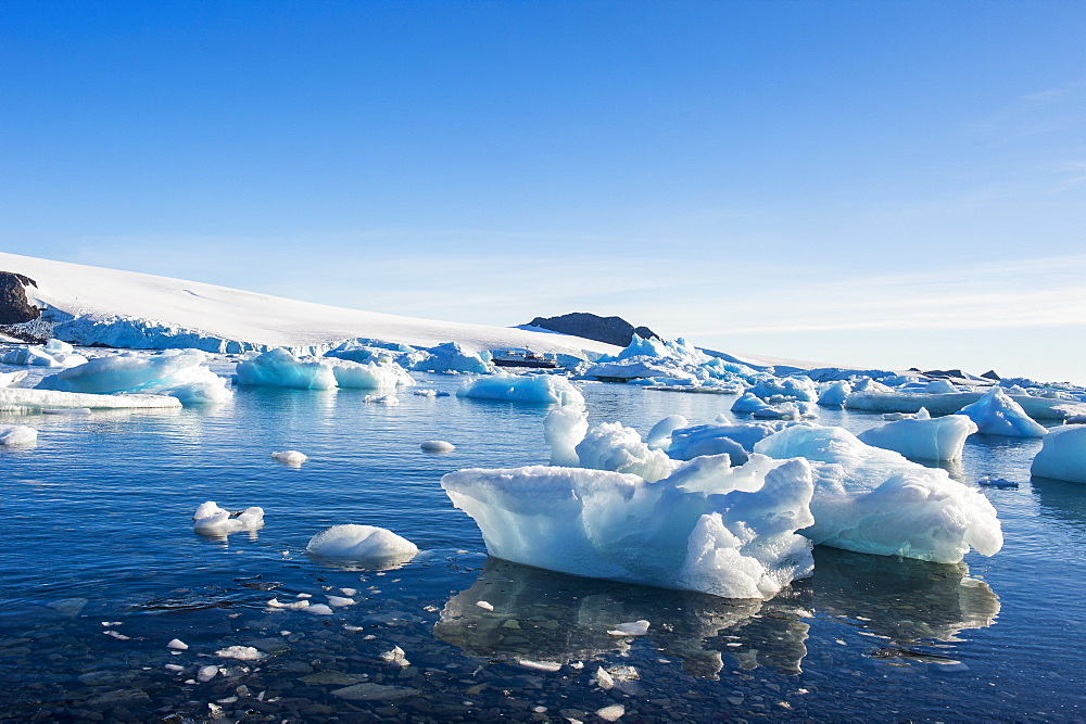 Beautiful little icebergs, Hope Bay, Antarctica, Polar Regions