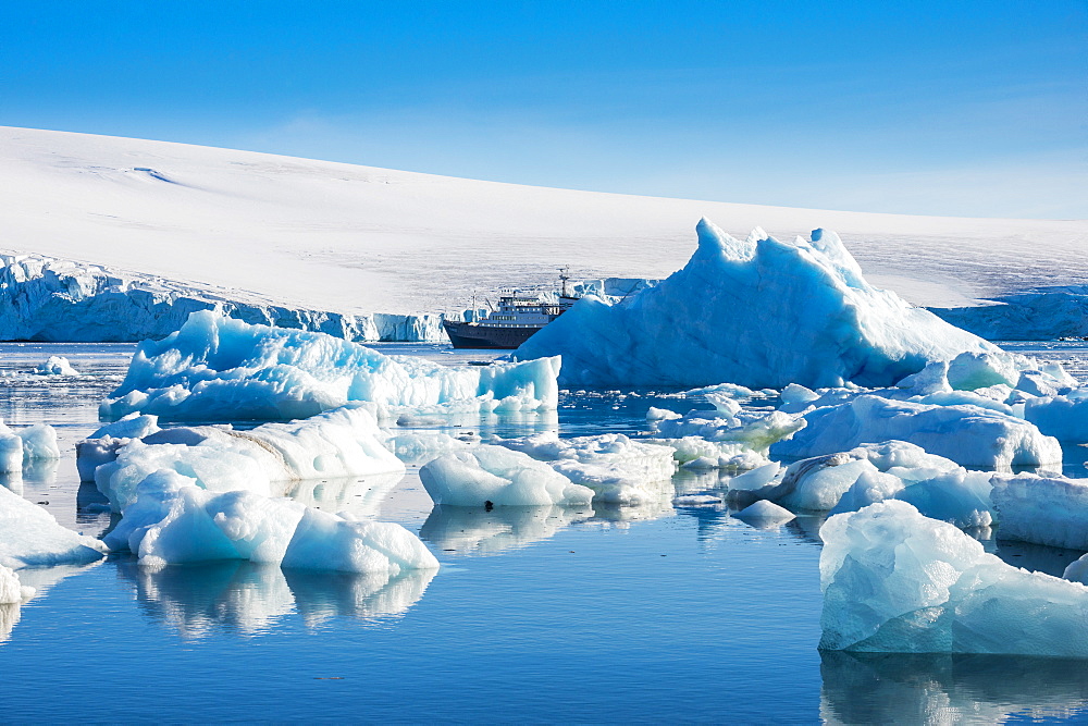 Beautiful little icebergs, Hope Bay, Antarctica, Polar Regions