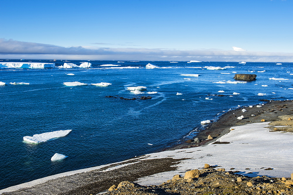 Antarctic fur seal (Arctocephalus gazella), Brown Bluff, Tabarin Peninsula, Antarctica, Polar Regions