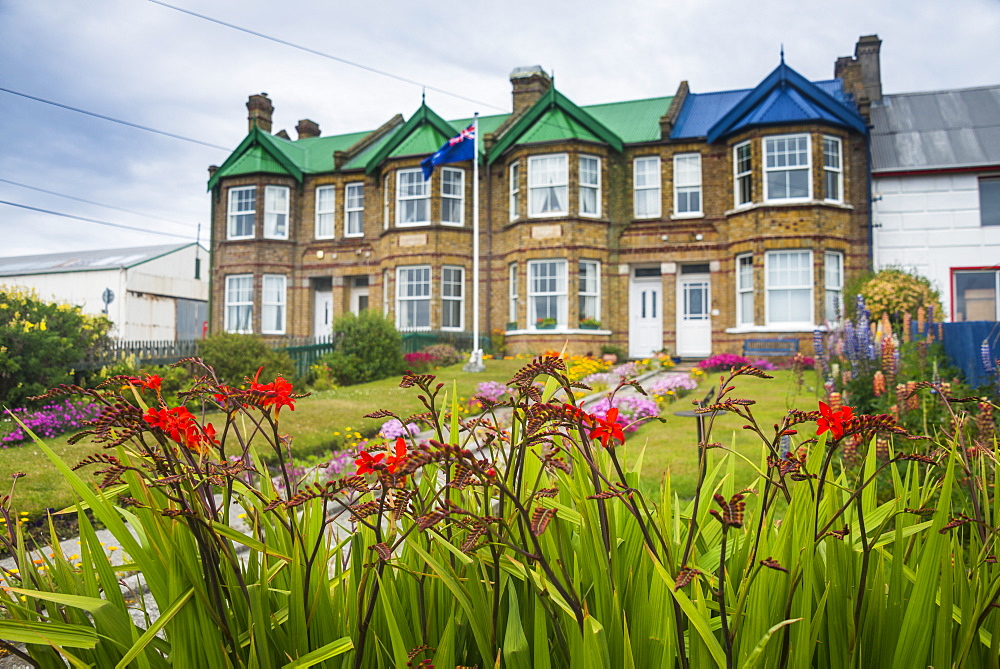 Typical British houses, Stanley, capital of the Falkland Islands, South America