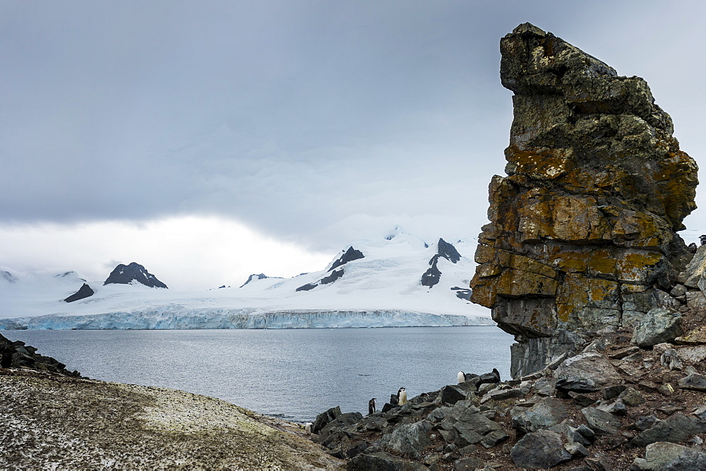 Penguins below dramatic rock formations, Half Moon Bay, South Sheltand Islands, Antarctica, Polar Regions