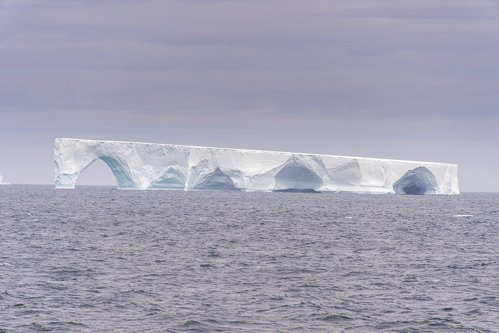 Floating iceberg, Elephant Island, South Shetland Islands, Antarctica, Polar Regions