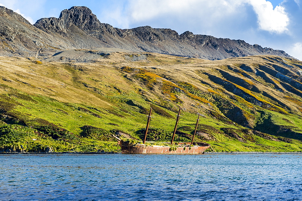 Stranded old whaling boat, Ocean Harbour, South Georgia, Antarctica, Polar Regions