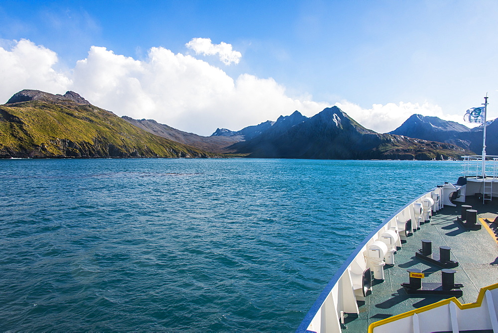 Cruise ship shipping to Ocean Harbour, South Georgia, Antarctica, Polar Regions