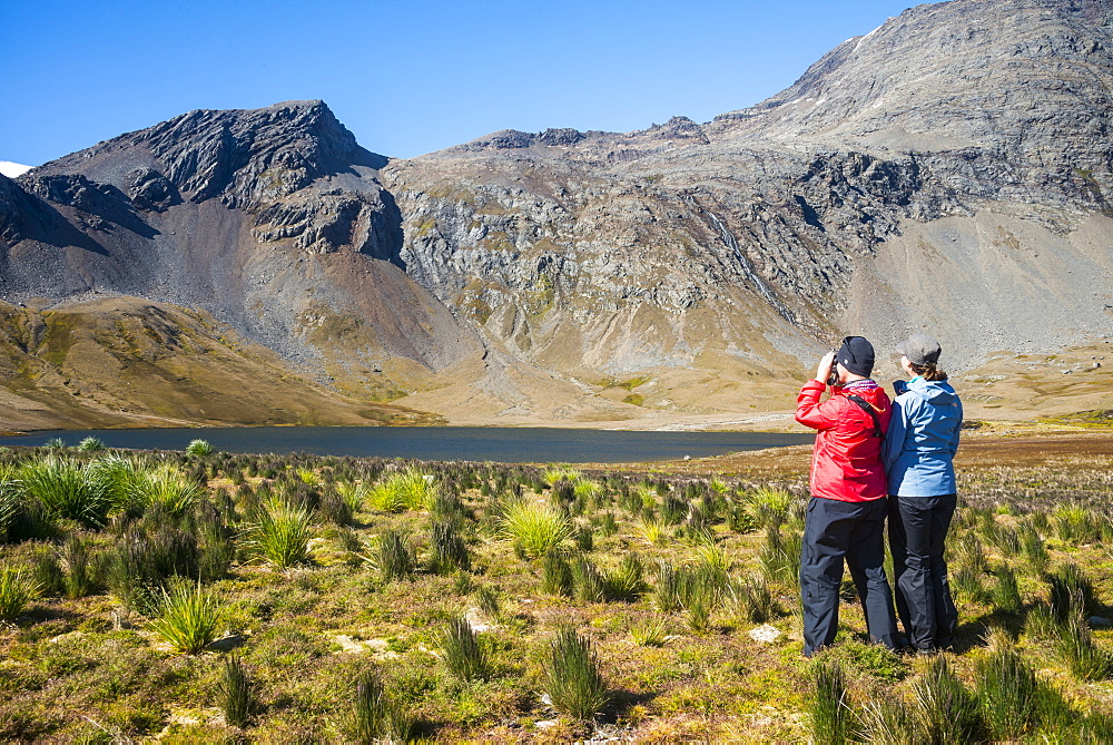 Woman admiring the beautiful scenery of Godthul, South Georgia, Antarctica, Polar Regions