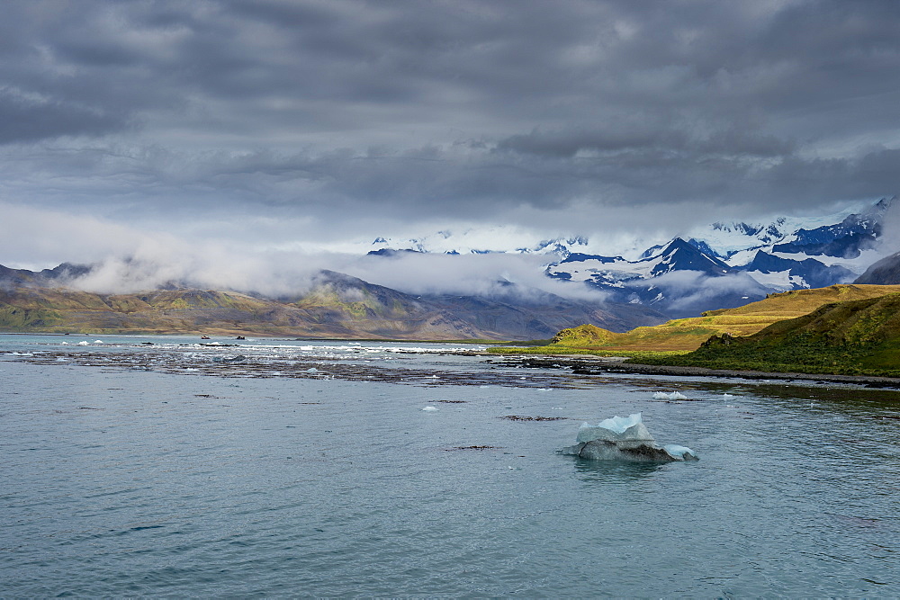 The bay of Grytviken, South Georgia, Antarctica, Polar Regions