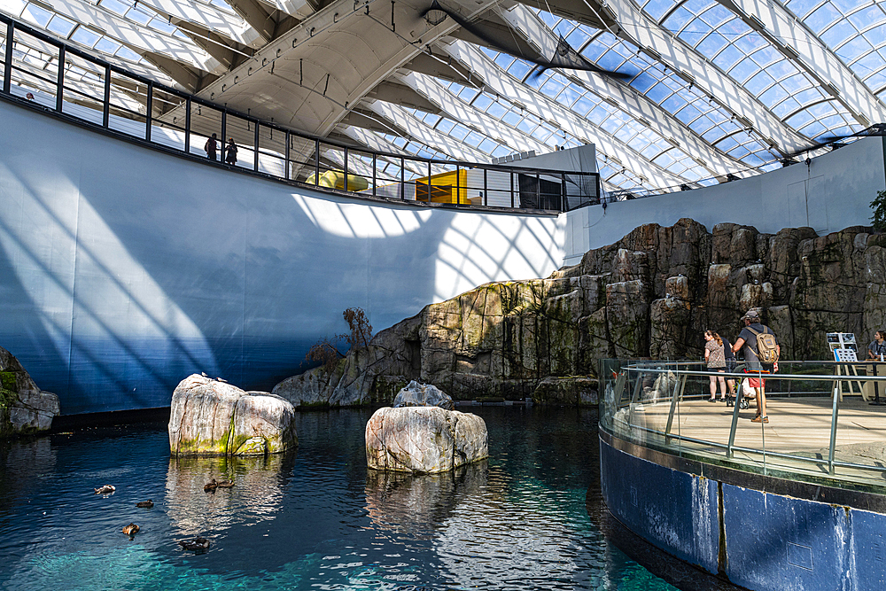 Montreal Biodome, Montreal, Quebec, Canada, North America