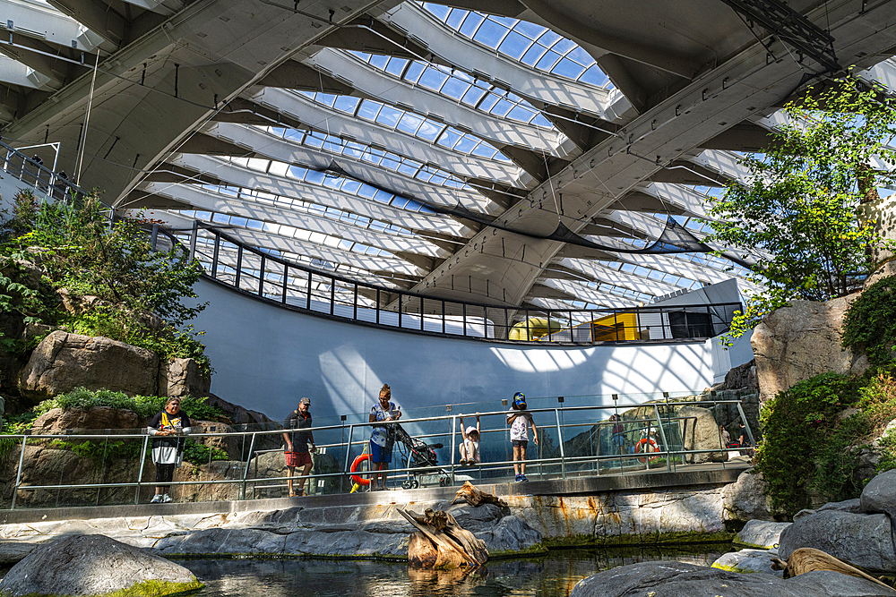 Montreal Biodome, Montreal, Quebec, Canada, North America