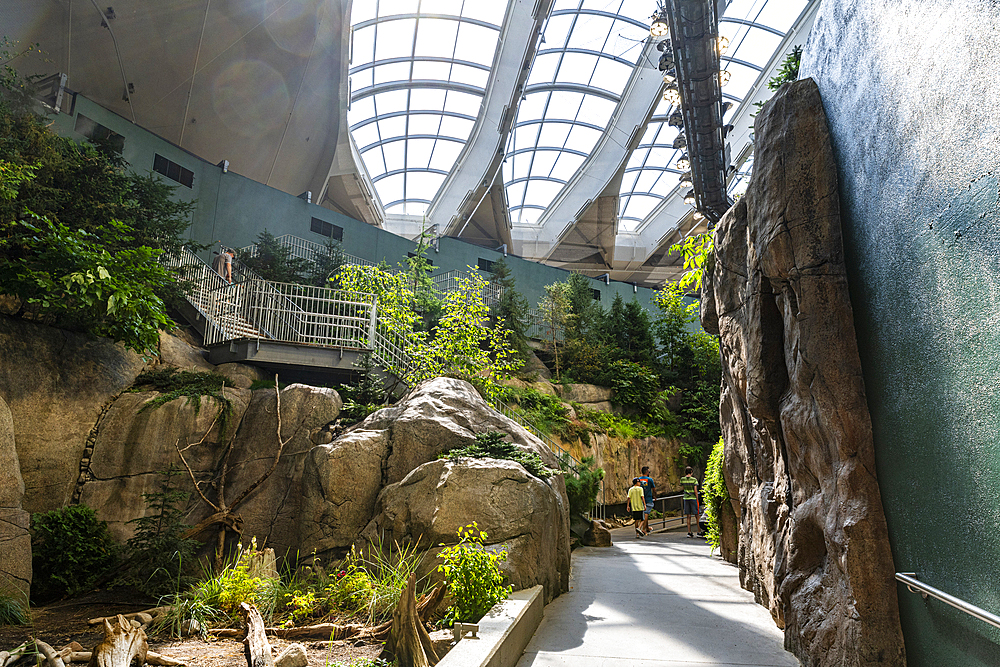 Montreal Biodome, Montreal, Quebec, Canada, North America