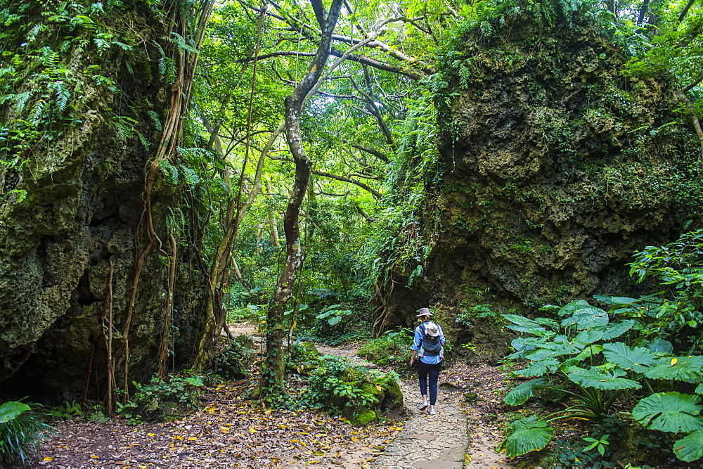 Sacred site of Sefa Utaki, UNESCO World Heritage Site, Okinawa, Japan, Asia