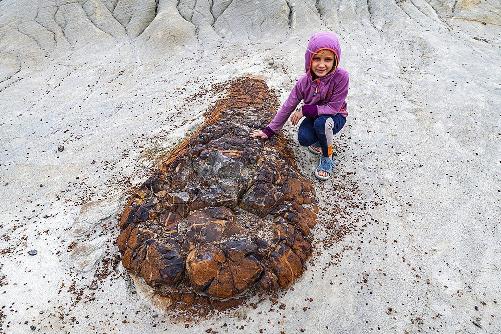 Girl at a Dinosaur fossil, Dinosaur Provincial Park, UNESCO World Heritage Site, Alberta, Canada, North America