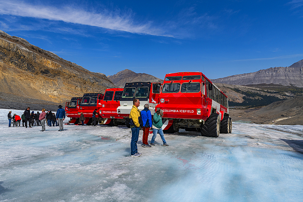 Specialized icefield trucks on the Columbia Icefield, Glacier Parkway, Alberta, Canada, North America