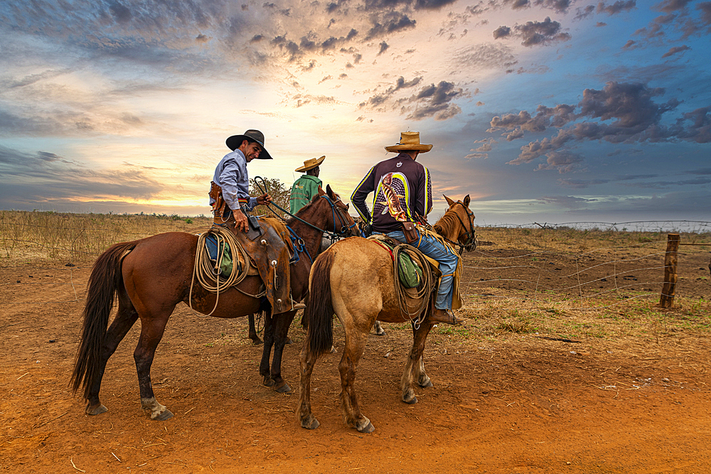 Cowboys on the Kahombo cattle farm, Malanje, Angola, Africa