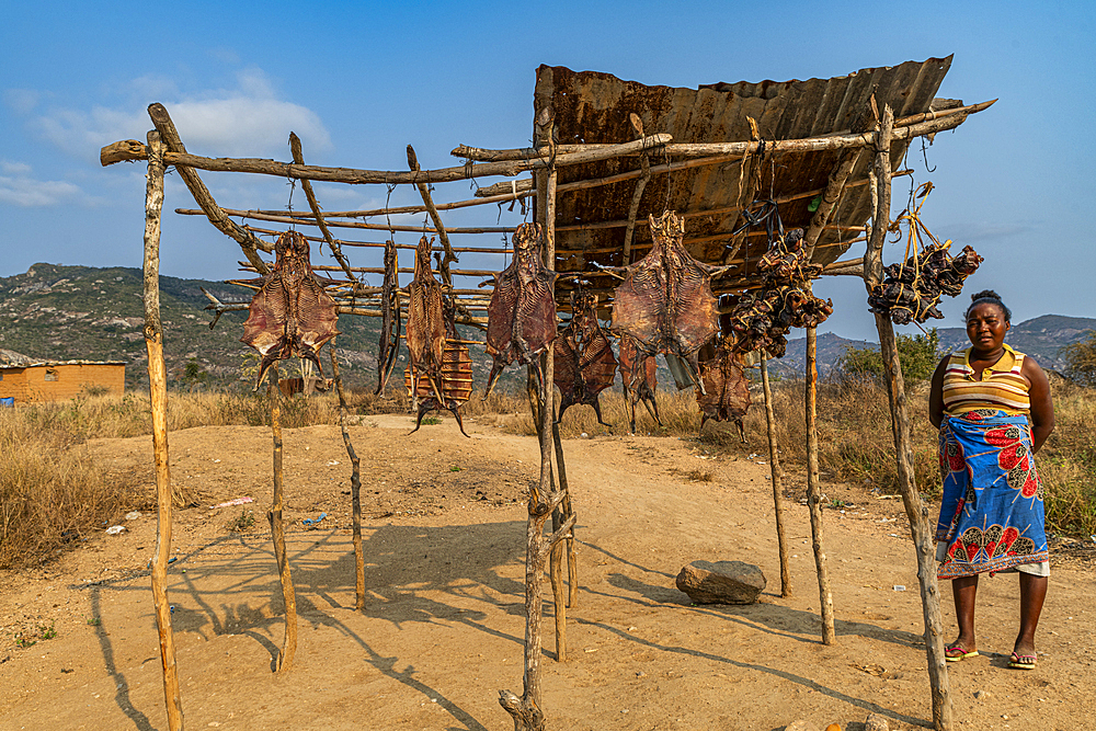 Dried rats for sale, Sumbe, Kwanza Sul, Angola, Africa