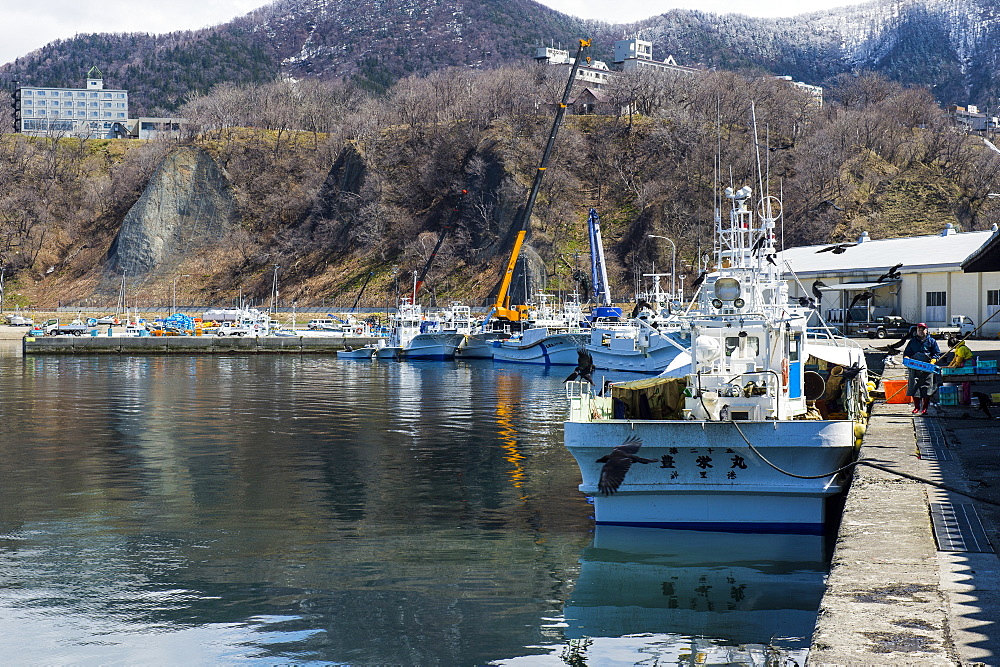 Boat harbour for vistitor boats in Shiretoko National Park, UNESCO World Heritage Site, Hokkaido, Japan, Asia