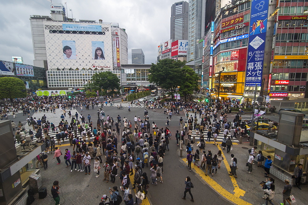 Shibuya crossing, the busiest road crossing in the world, Tokyo, Japan, Asia