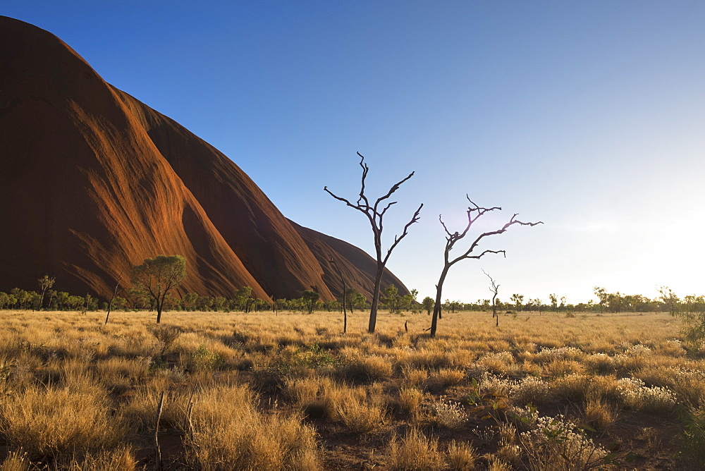 Uluru (Ayers Rock), Uluru-Kata Tjuta National Park, UNESCO World Heritage Site, Northern Territory, Australia, Pacific