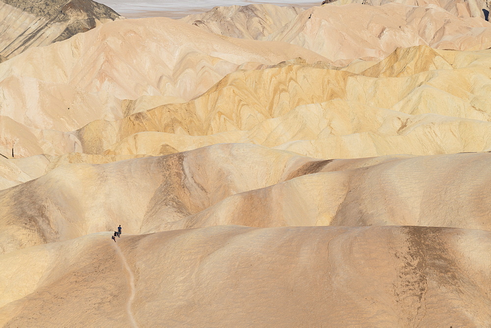 Zabriskie Point in Death Valley National Park, California, United States of America, North America