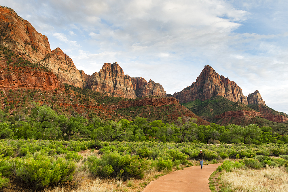 The Watchman, Zion National Park, Utah, United States of America, North America