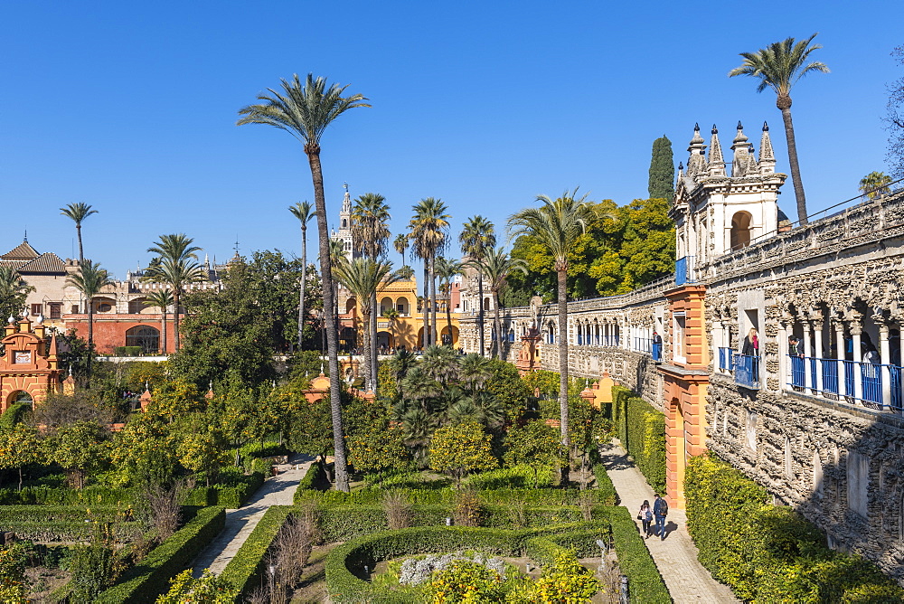 Alcazar Gardens, UNESCO World Heritage Site, Seville, Andalusia, Spain, Europe