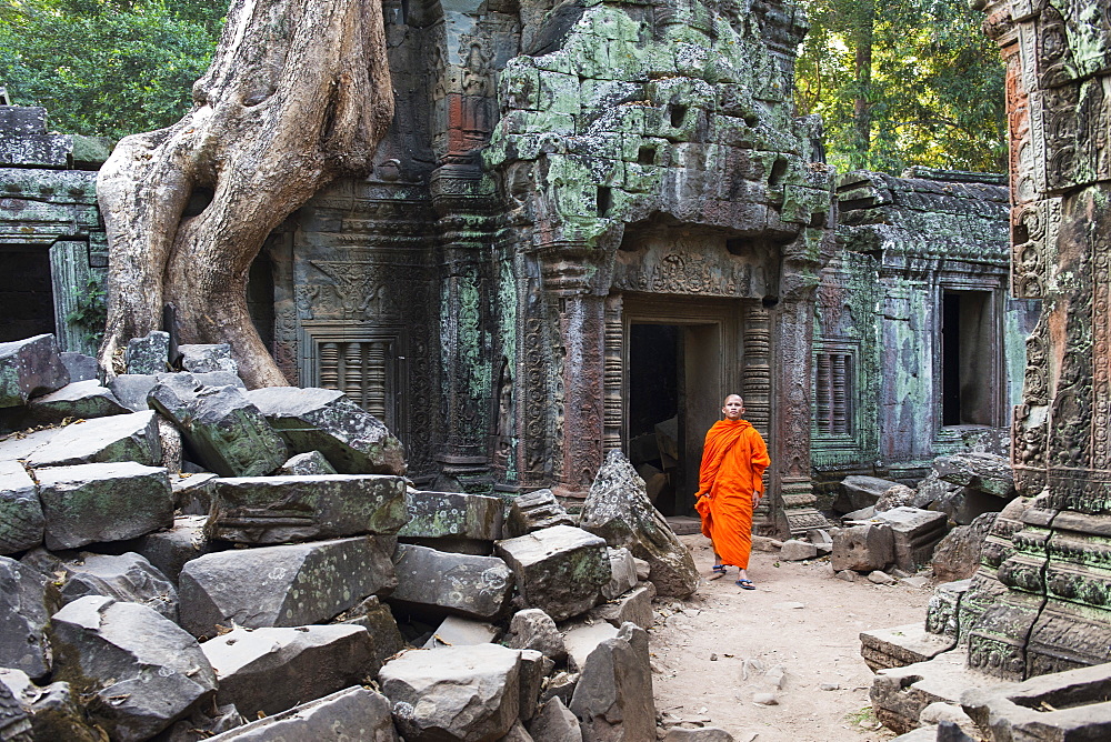 Monk walking through Ta Prohm temple, UNESCO World Heritage Site, Angkor, Siem Reap, Cambodia, Indochina, Southeast Asia, Asia