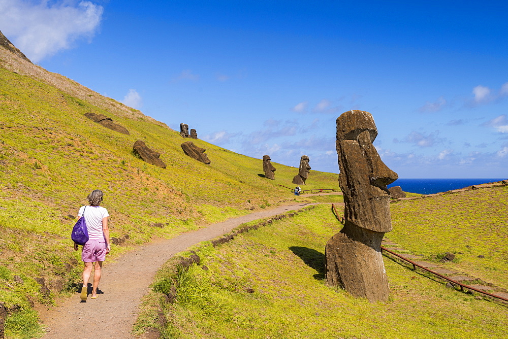 Moai heads of Easter island, Rapa Nui National Park, UNESCO World Heritage Site, Easter Island, Chile, South America