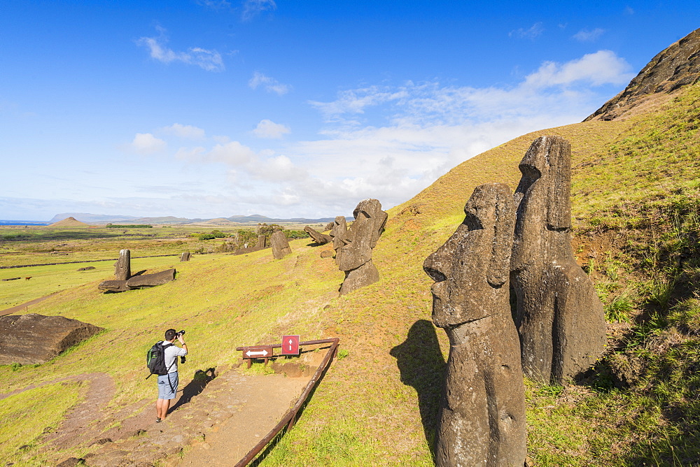 Moai heads of Easter Island, Rapa Nui National Park, UNESCO World Heritage Site, Easter Island, Chile, Polynesia, South America