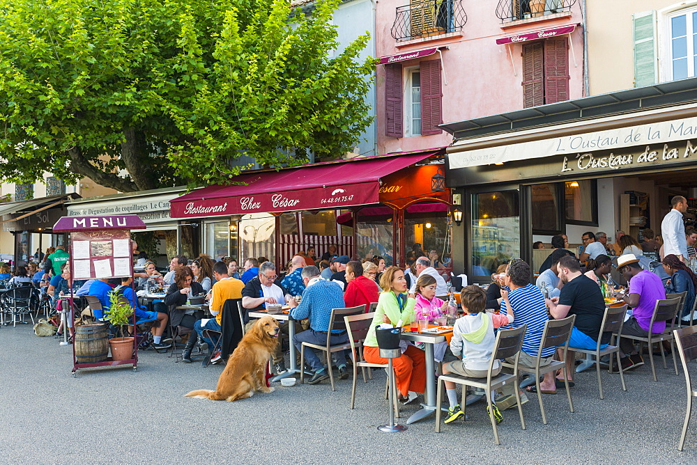 Cafe in Cassis harbour, Cassis, Bouches du Rhone, Provence, Provence-Alpes-Cote d'Azur, France, Europe