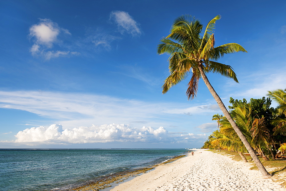 Turquoise sea and white palm fringed beach, Le Morne, Black River, Mauritius, Indian Ocean, Africa