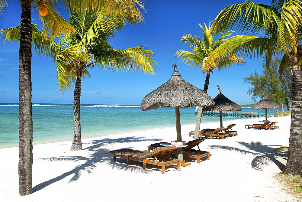 Sunbeds and palm trees, Ile aux Cerfs, Black River, Mauritius, Indian Ocean, Africa