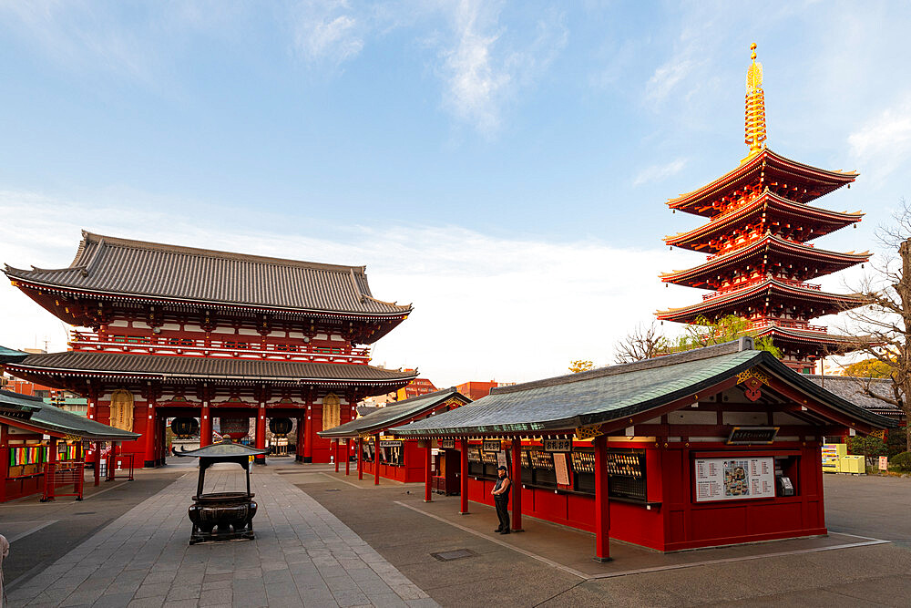 Sensoji Temple in Cherry blossom season, Tokyo, Japan, Asia