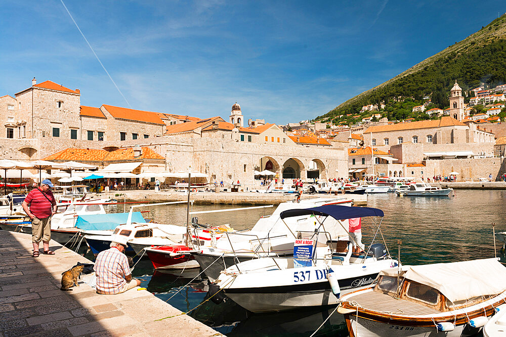 Dubrovnik's old town port, UNESCO World Heritage Site, Dubrovnik, Croatia, Europe