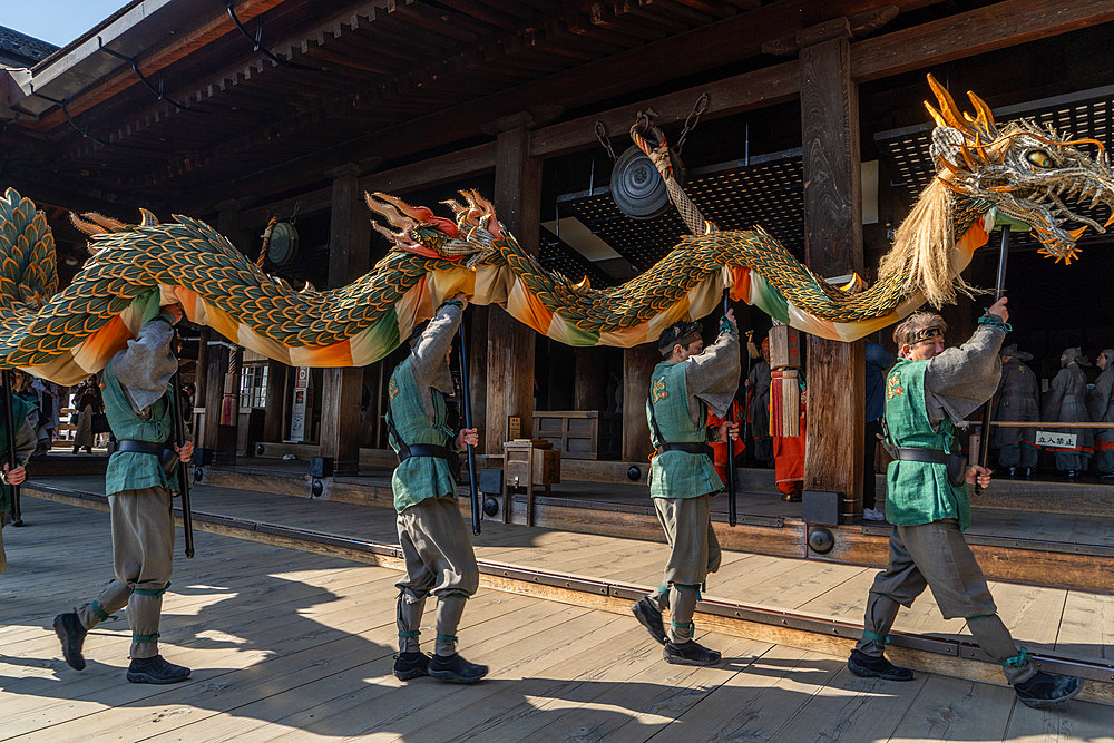 Performance of traditional dragon dance at temples and shrines during the cherry blossom (sakura) season and festivals, Kyoto, Honshu, Japan, Asia