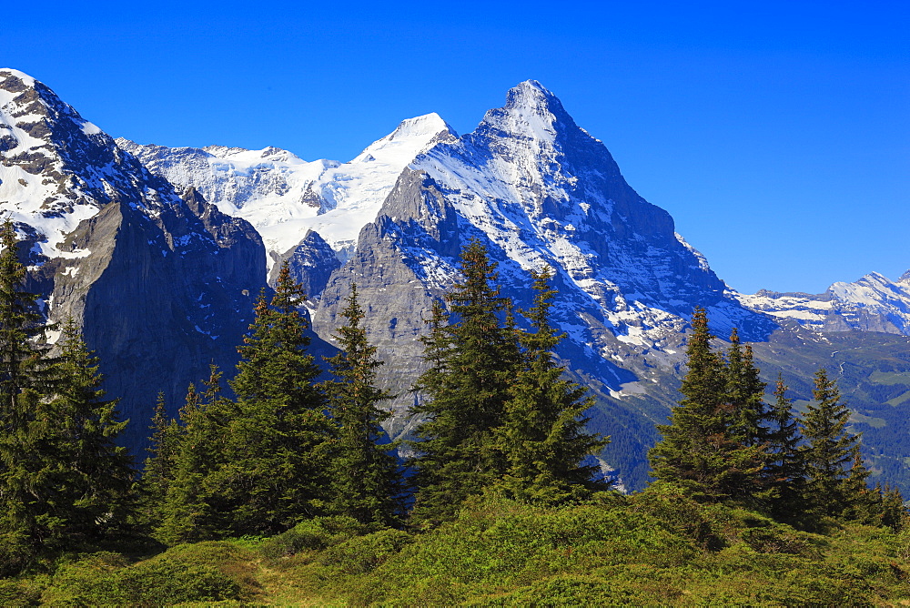 Eiger and Moench, Swiss Alps, Switzerland, Europe