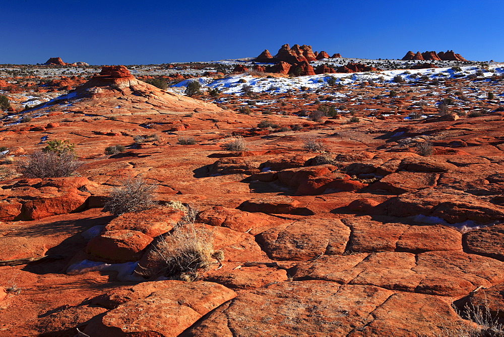 Coyote Buttes North, fragil sandstone formed by wind and water, Paria Wilderness Area, Arizona, United States of America, North America