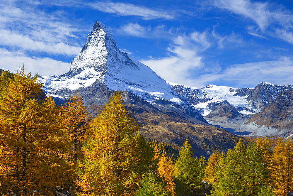 Matterhorn and larch tree forest in autumn, Valais, Swiss Alps, Switzerland, Europe