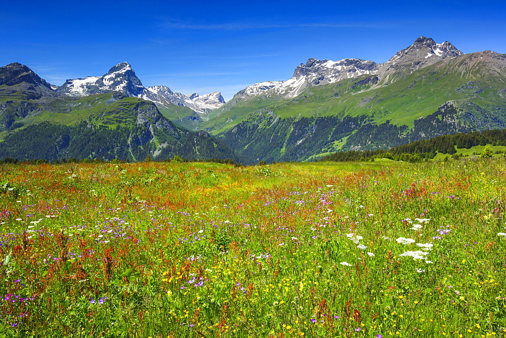 Alp Flix, Swiss Alps, Switzerland, Europe