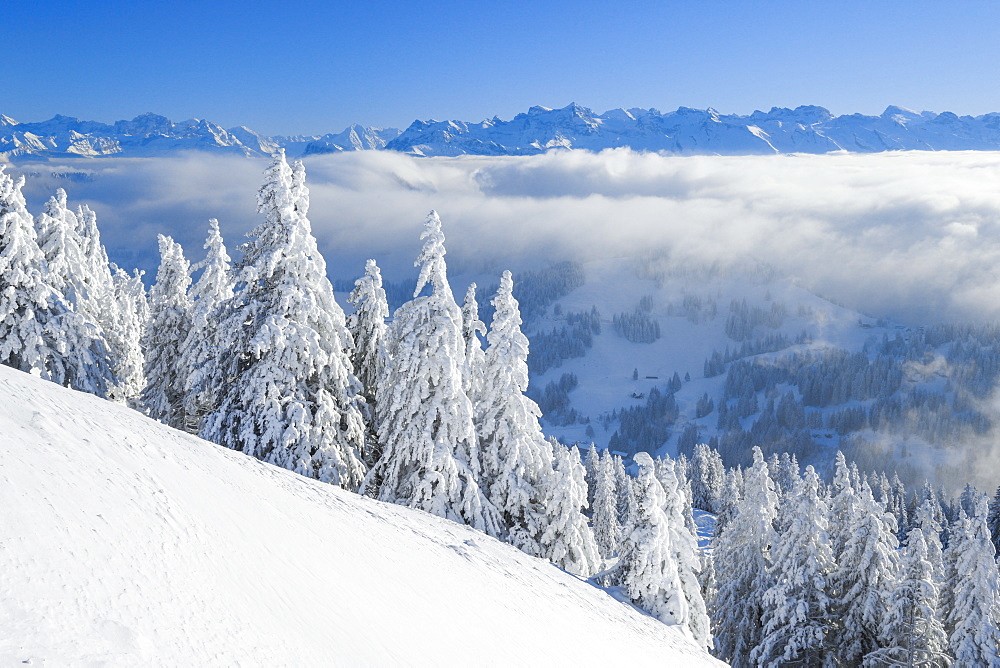 View from Rigi Kulm, Swiss Alps, Switzerland, Europe