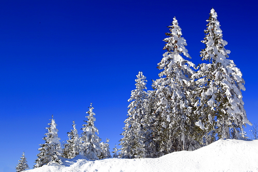 Schweizer Voralpen, Gurnigel, Schweiz