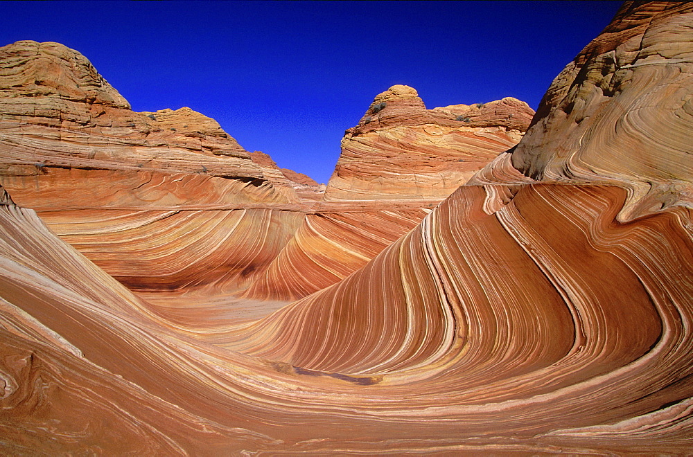 Geology, usa. Arizona, paria canyon vermillion cliffs wilderness. North coyote buttes: the swirl. Made from navaho sandstone, formed by wind and weather