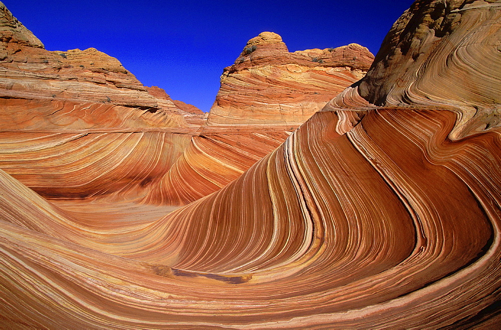 Sandstone formation, usa. Arizona, vermillion cliffs wilderness, paria canyon. North coyote buttes made from sandstone