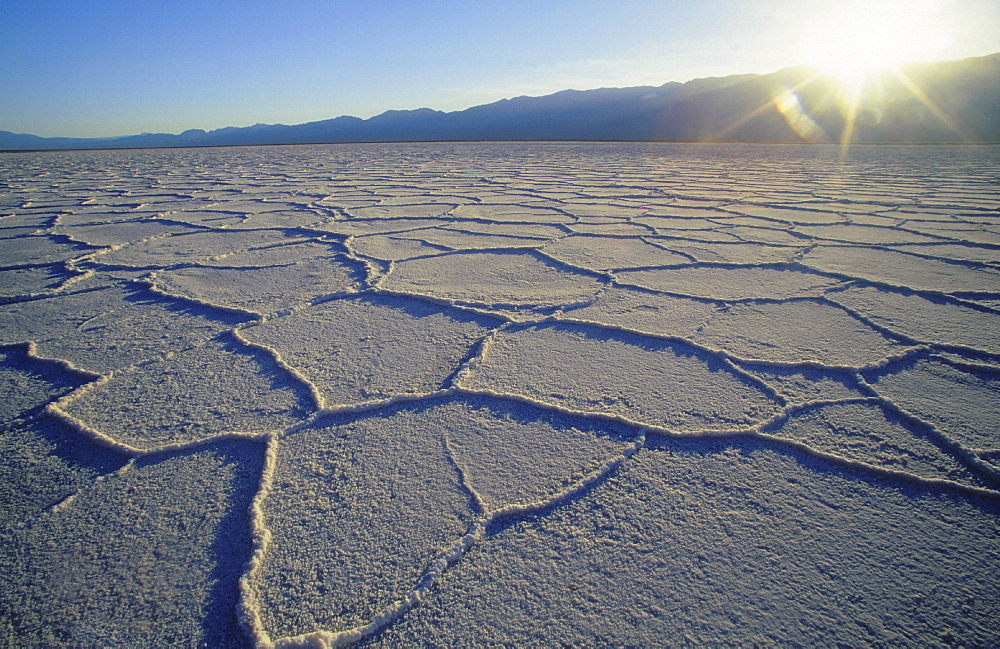 Desert, usa. California, death valley np, near badwater. Geometrical salt crystal formations