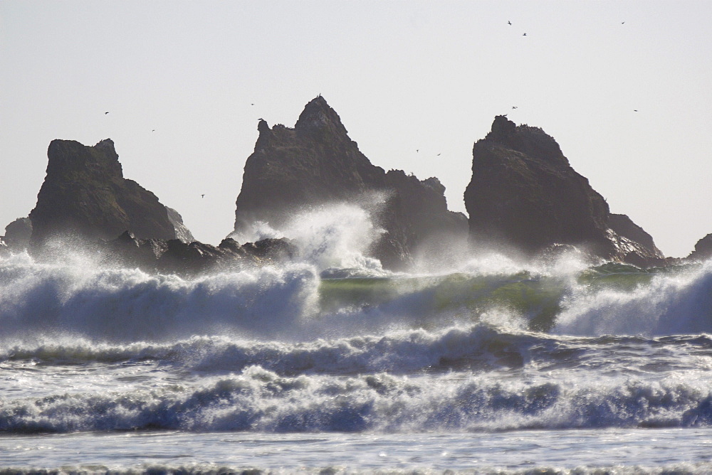 Coast, oregon, us west coast, pacific coast