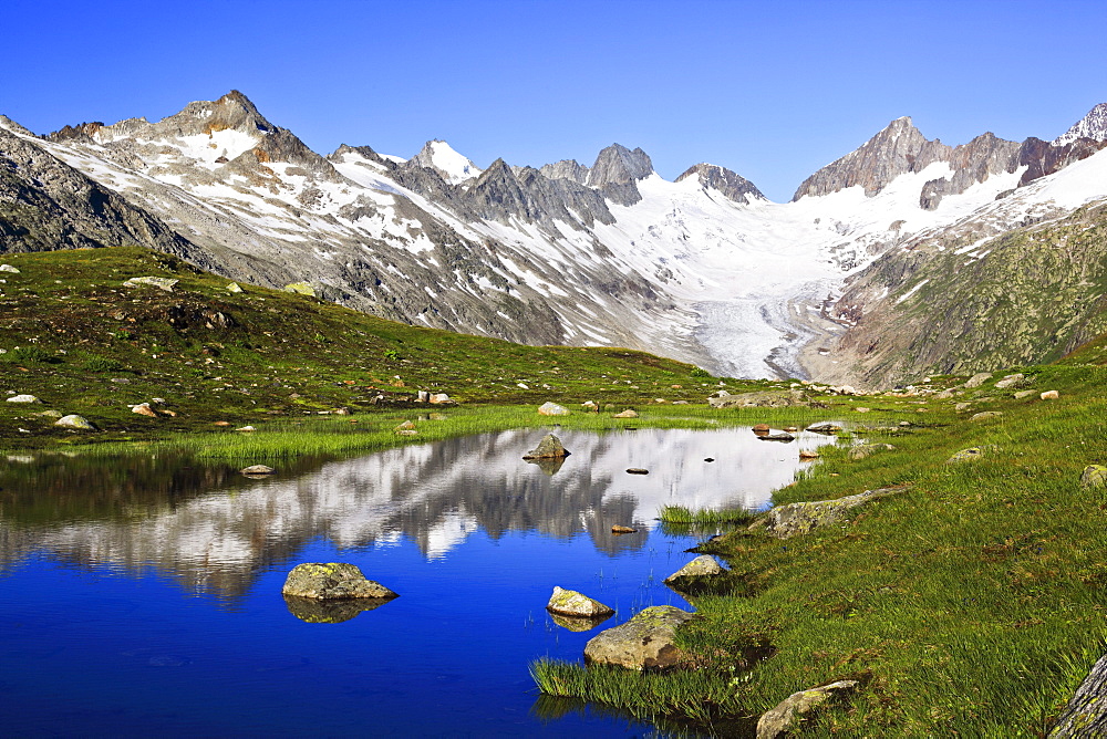 Schweizer Alpen im Sommer, Oberaargletscher, Oberaarhorn, 3638 m, Finsteraarhorn, 4274m, Berner Oberland, Bern, Schweiz