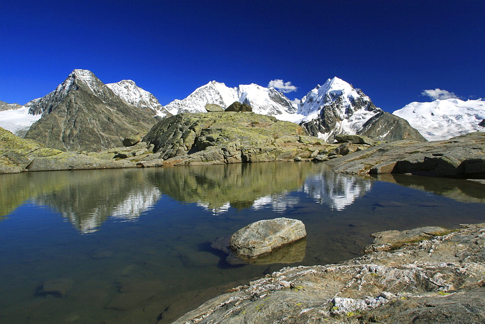 Swiss alps, piz bernina, 4049 m, biancograt, piz roseg, 3937 m, view from fuorcla sulej, 2755 m, in summer, ober engadin, graubuenden, eastern switzerland, switzerland