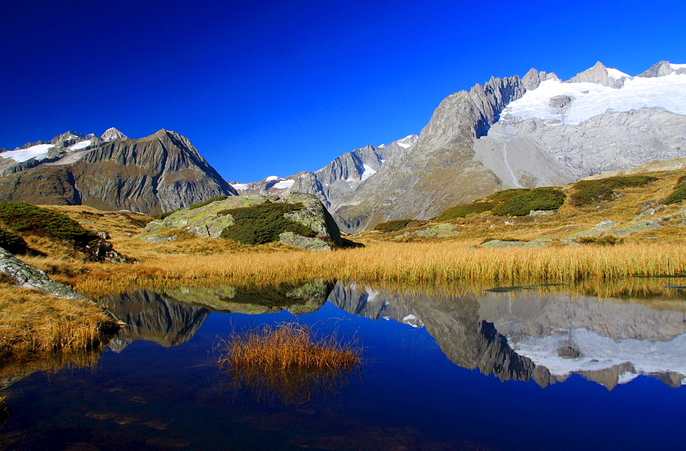 Swiss alps, fusshoerner, grosses fusshorn, 3627m, alpine lake, aletsch area, unesco heritage, wallis, switzerland, fall, autumn