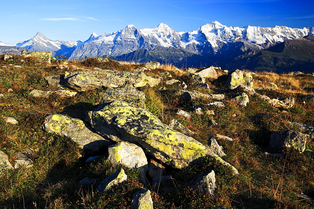 Schweizer Alpen, Aussicht vom Niederhorn, Schreckhorn, 4078 m, Finsteraarhorn, 4274 m, Eiger, 3974 m, Moench, 4099 m, Jungfrau, 4158m, Herbst, Berner Oberland, Bern, Schweiz