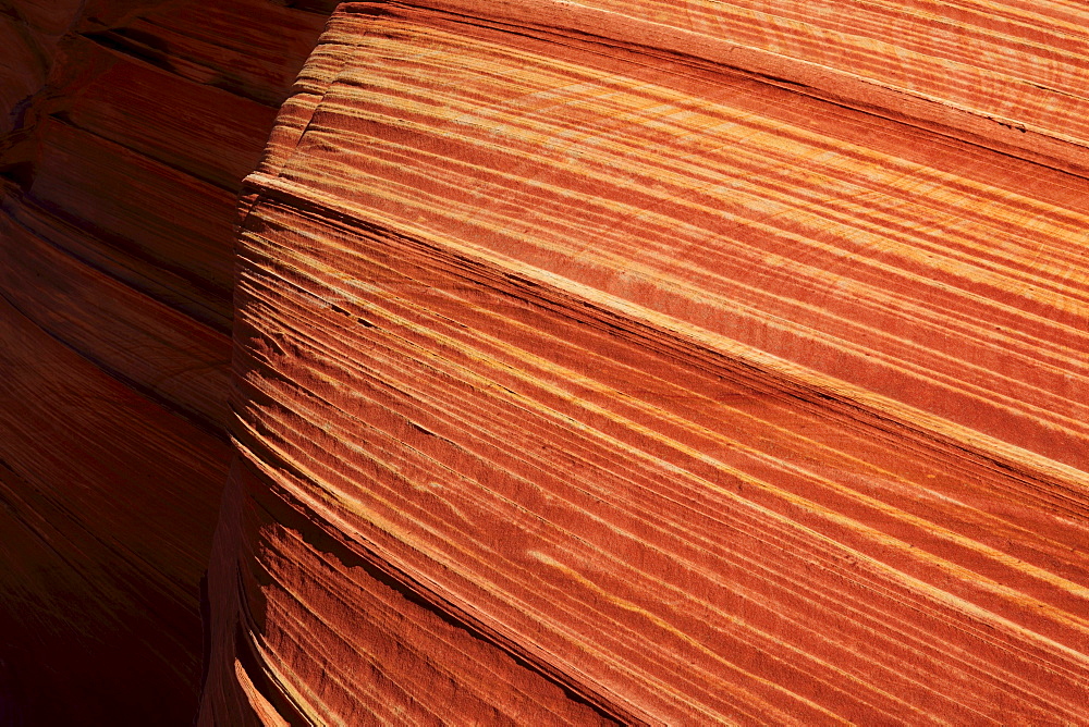 Coyote buttes north, fragile sandstone formed by wind and water, paria wilderness area, arizona, usa