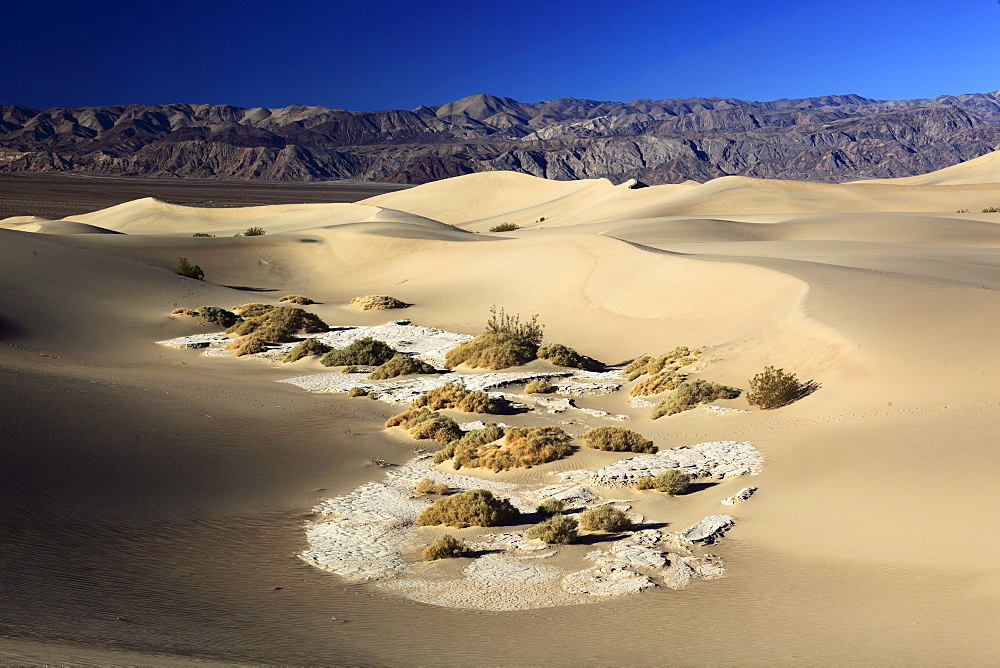 Mesquite flats sand dunes, death valley national park, california, usa