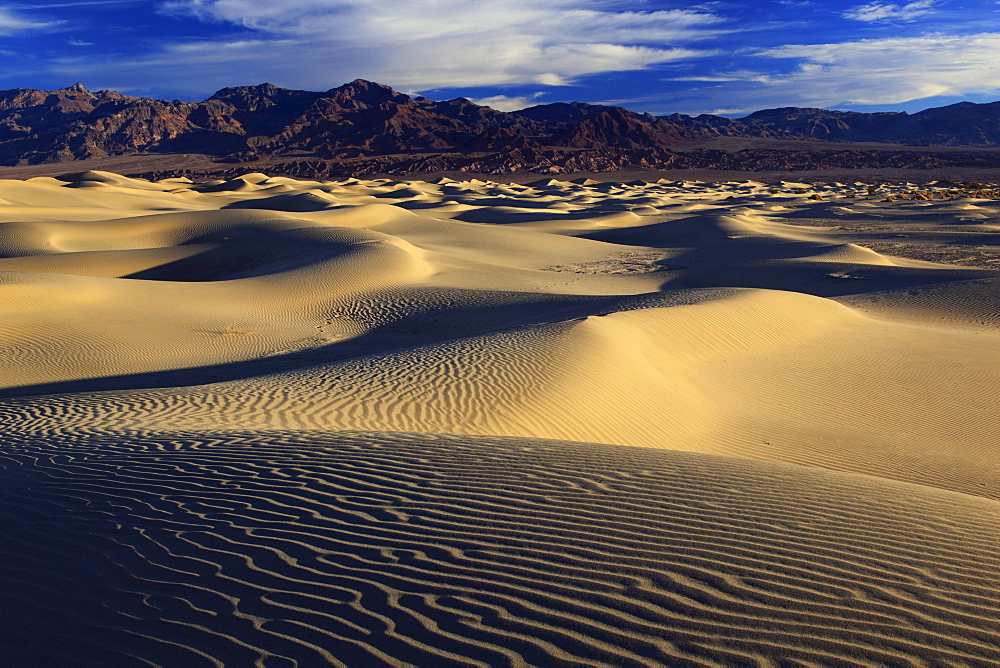 Mesquite flats sand dunes, death valley national park, california, usa